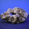 Live Rock for Saltwater Aquarium