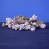 Small pieces of live rock rubble