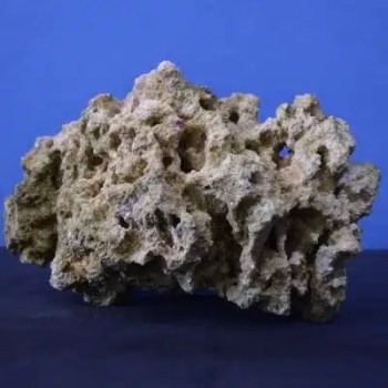 Aquacultured live rock.