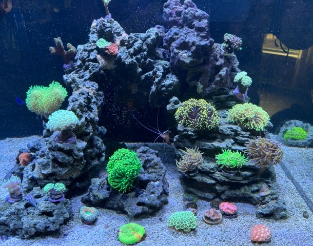 Customers tank update.